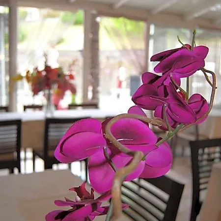 Acropolis - Отель